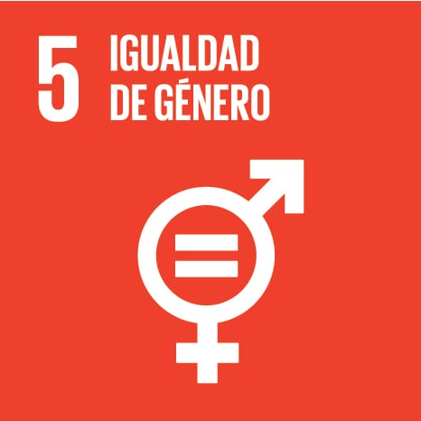 S SDG Icons 01 05