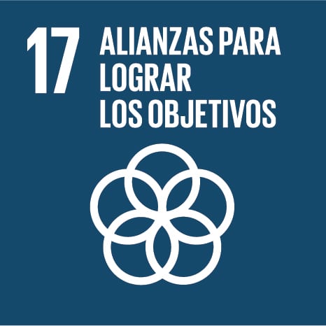 S SDG Icons 01 17