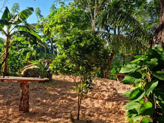 jardin lacatalina
