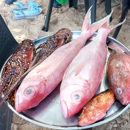 pescado