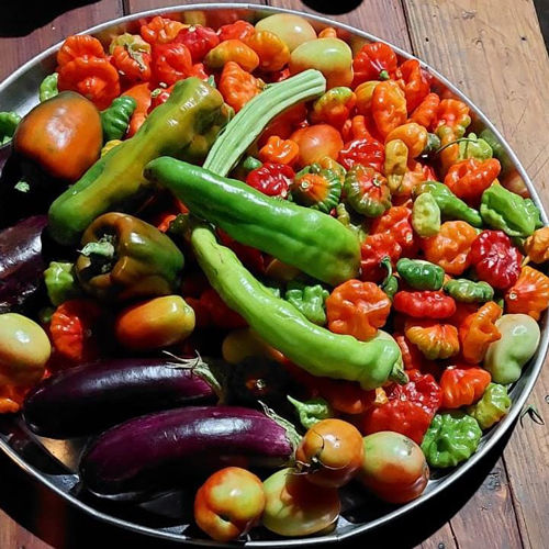 pimientos 1